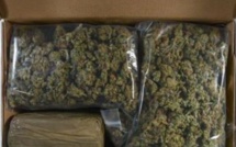 Mahébourg : Saisie de deux kilos de cannabis estimé à Rs 1, 3 million.