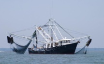 Accord de pêche Japon-Maurice : Le Conseil des ministre noie le poisson !