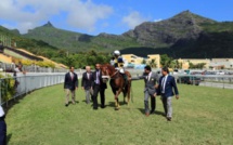 Coupable de dopage sur son cheval Aspara, Lavish Lallbeeharry banni à vie au Champ-de-Mars