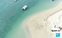 [Vidéo] Emission France 24 : Ile Maurice, les plages menacées par la montée des eaux