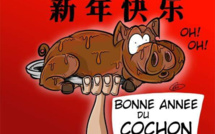 [KOK] Le dessin du jour : L'année du Cochon