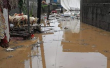 Grosses pluies : Des sinistrés à Terre-Rouge