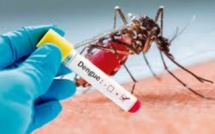 L'épidémie de dengue à Vallée-des-Prêtres prend de l'ampleur