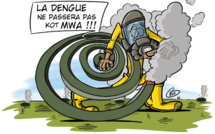 L'actualité vu par KOK : La dengue ne passera pas Kot MWA !