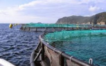 Gaspillage de l'argent public :  Rs. 12 millions pour un projet d’aquaculture qui fait plouf !