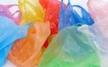 Les sacs en plastique non-biodégradables rapportent