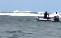 Un cachalot s’échoue dans le lagon de Bel-Ombre : sauvetage en cours