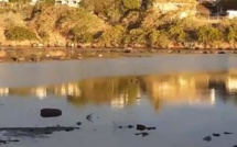 ▶️ Catastrophe écologique à Sable Noir : Des nappes d'huile dans le lagon
