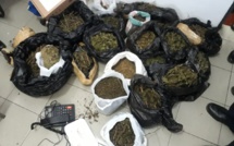 Grand-Gaube : Saisie de Rs 4,5 millions de cannabis dans un appartement