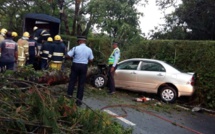 Un arbre chute sur une voiture : des dégâts, pas de blessés