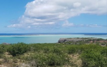 Rodrigues île durable : les fleurs en plastique bientôt interdites