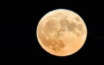 "La Super Lune des fleurs" visible dans la nuit de ce jeudi à vendredi