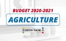 [Budget 2020-2021] Le sucre importé sera taxé à 100 %