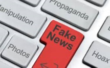 Un internaute identifié par la Cybercrime Unit pour « Fake news »