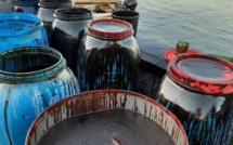 Marée noire à l'île Maurice : Une entreprise bretonne va coordonner le nettoyage