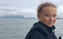 Marée noire: la fondation Greta Thunberg fait un don de Rs 400 000 à l'île Maurice