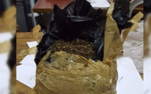 A Pereybère, saisie de Rs 2.5 millions de drogue synthétique retrouvée dans un terrain boisé
