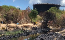 [Photos] Catastrophe écologique à Les Salines: plus de 24 heures après l'alerte, les autorités absentes