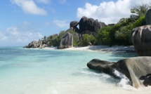 Seychelles : 60 000 tongs se sont retrouvées sur l'île d'Aldabra