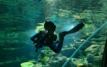 Odysseo : Maurice s'offre le plus grand aquarium de l'océan Indien