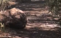[Vidéo] Projet Legend Hill : A Tamarin, un deuxième rocher de plusieurs tonnes se détache de la Tourelle