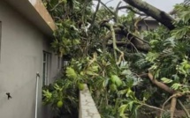 Premier bilan du passage cyclonique Enmati : « Pas de gros dégâts »
