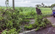 Les conséquences du passage du cyclone Enmati à Maurice