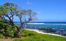 L'île Maurice, une destination prisée par les riches et les puissants pour les évasions fiscales