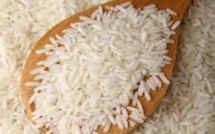 La STC en quête d’un fournisseur de riz à grain long