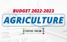 [Budget 2022-2023] Sécurité alimentaire : Rs 3 milliards pour les planteurs, les éleveurs et les pêcheurs...