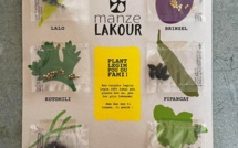Manze lakour : un starter kit de graines 100% locales