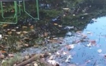 Vidéo- Le jardin d'enfants à Les Salines transformé en bassin d'eau 