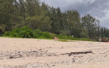 [En images] La plage de Pointe aux Roches transformée en plage pour nudistes