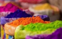La fête Holi; la fête des couleurs célébrée ce mardi