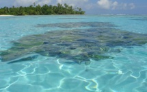 Droit de la mer : Le jugement sur le litige entre Maurice et les Maldives rendu public