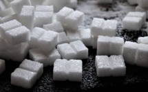 Chambre d'Agriculture : La production de sucre en 2023 est de 220 000 tonnes