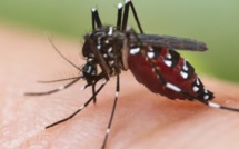La dengue est désormais un problème à l'île Maurice